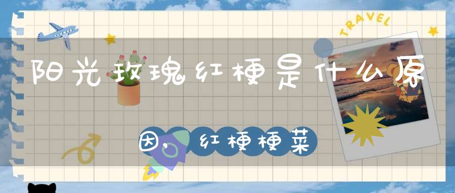 阳光玫瑰红梗是什么原因,红梗梗菜
