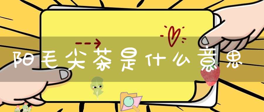 阳毛尖茶是什么意思