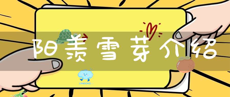 阳羡雪芽介绍