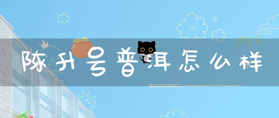 陈升号普洱怎么样