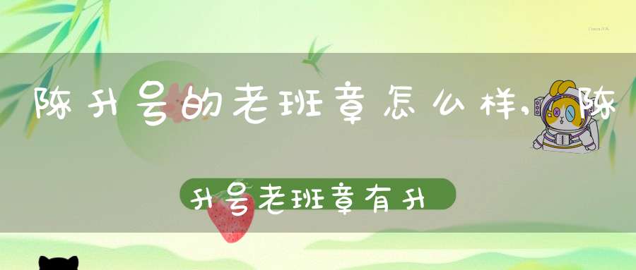 陈升号的老班章怎么样,陈升号老班章有升值空间吗