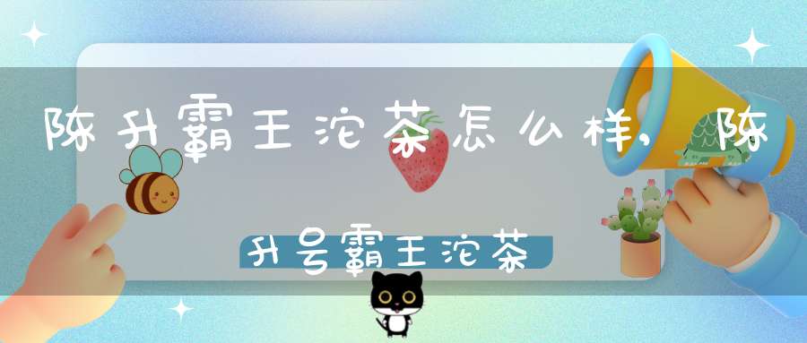 陈升霸王沱茶怎么样,陈升号霸王沱茶