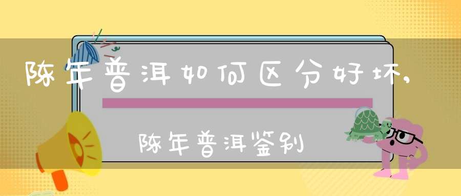 陈年普洱如何区分好坏,陈年普洱鉴别