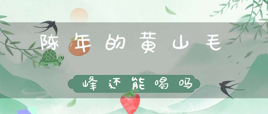 陈年的黄山毛峰还能喝吗