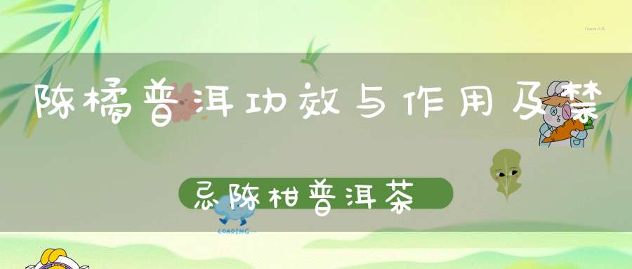 陈橘普洱功效与作用及禁忌陈柑普洱茶