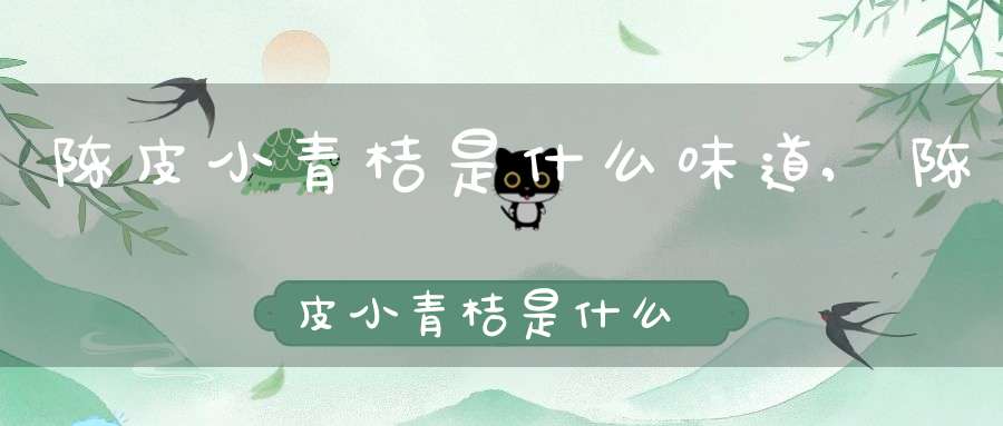 陈皮小青桔是什么味道,陈皮小青桔是什么东西