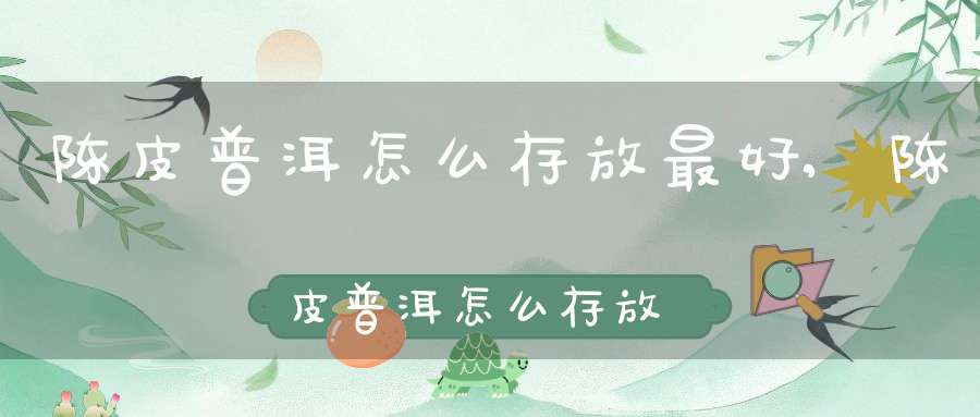 陈皮普洱怎么存放最好,陈皮普洱怎么存放比较好