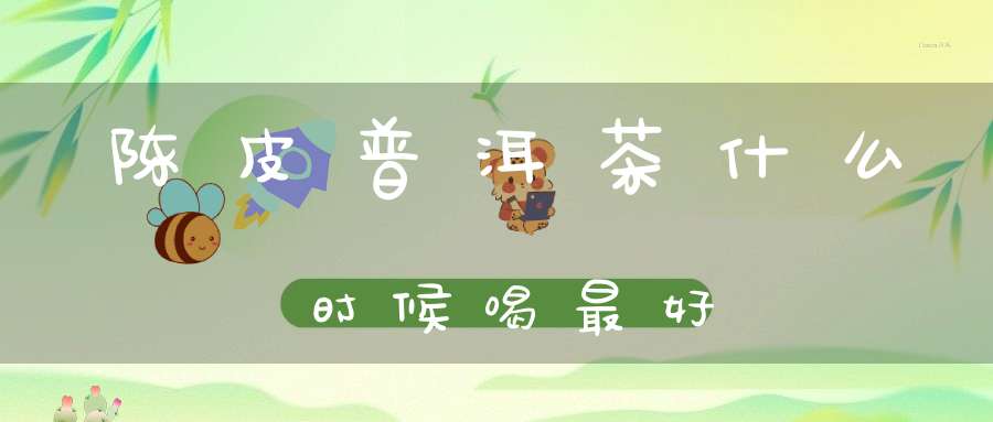 陈皮普洱茶什么时候喝最好