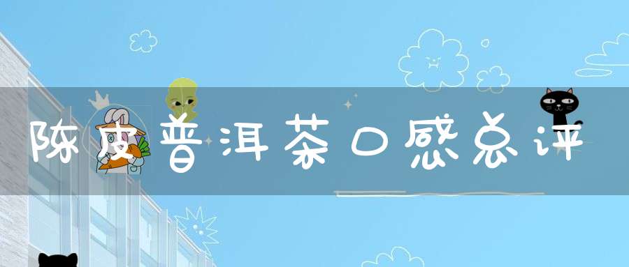 陈皮普洱茶口感总评