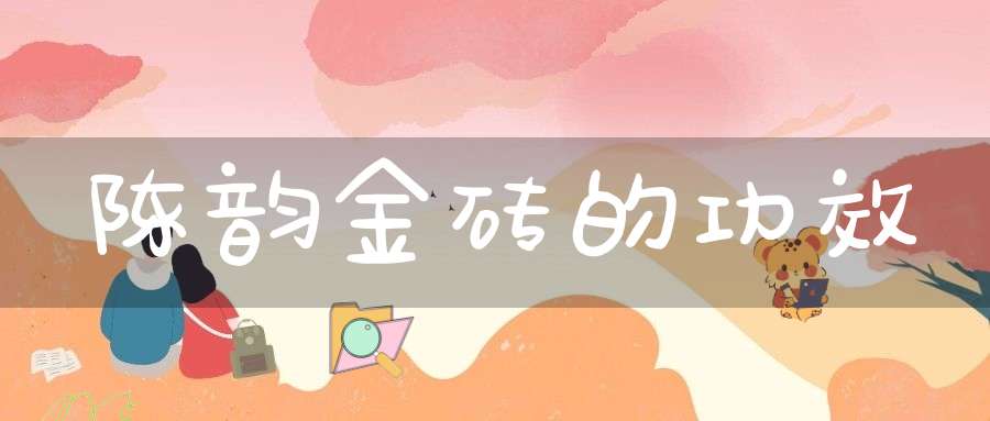 陈韵金砖的功效