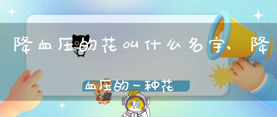 降血压的花叫什么名字,降血压的一种花
