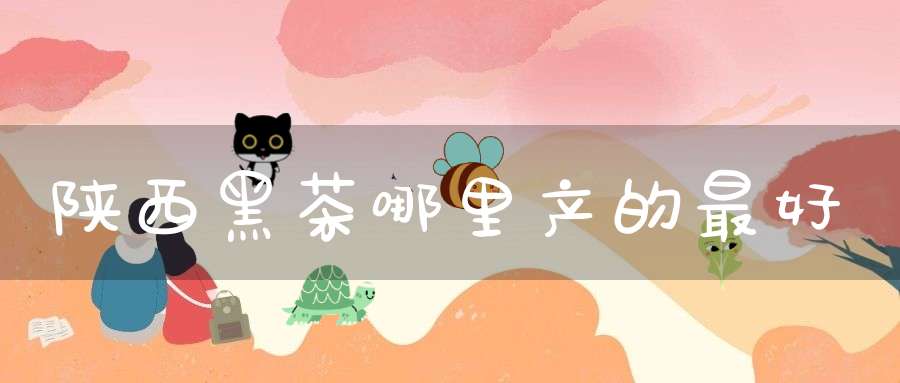 陕西黑茶哪里产的最好