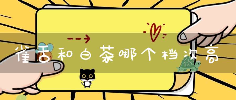 雀舌和白茶哪个档次高