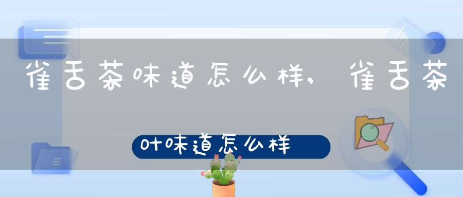 雀舌茶味道怎么样,雀舌茶叶味道怎么样