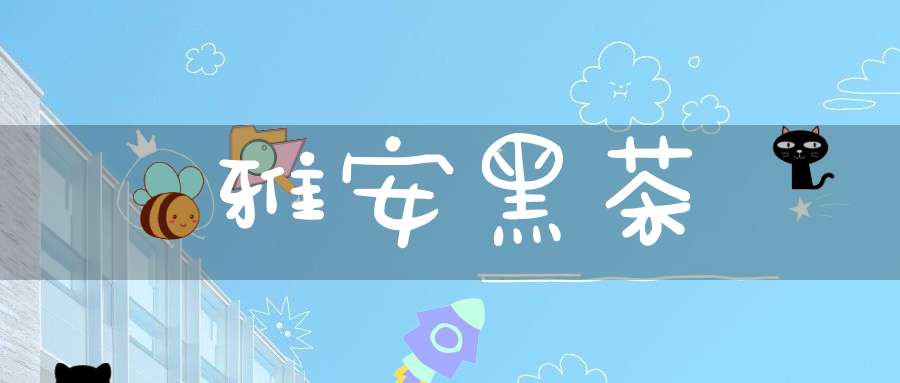 雅安黑茶