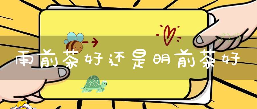 雨前茶好还是明前茶好