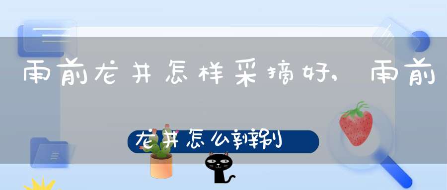 雨前龙井怎样采摘好,雨前龙井怎么辨别