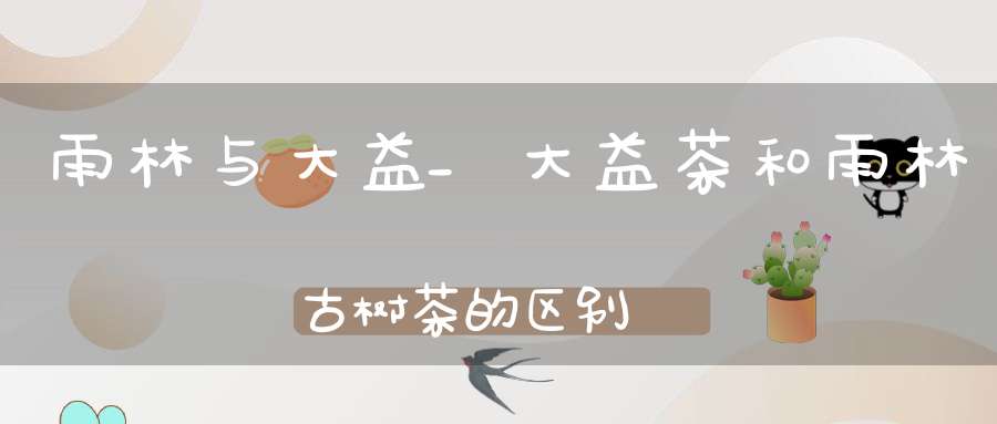 雨林与大益_大益茶和雨林古树茶的区别