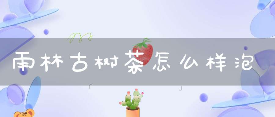 雨林古树茶怎么样泡