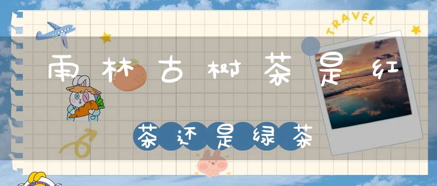 雨林古树茶是红茶还是绿茶