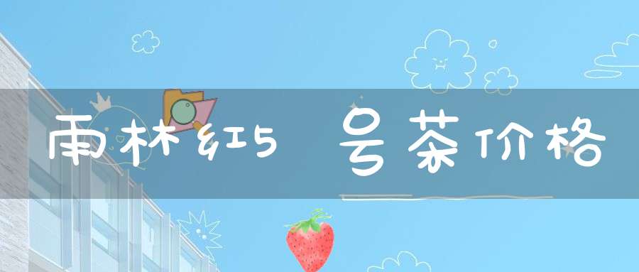雨林红5号茶价格