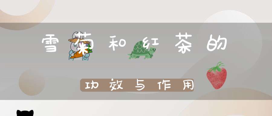 雪菊和红茶的功效与作用