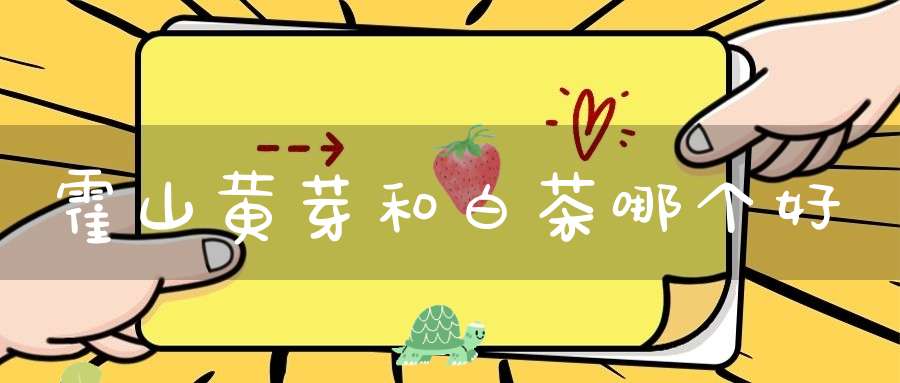 霍山黄芽和白茶哪个好