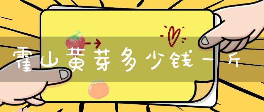 霍山黄芽多少钱一斤