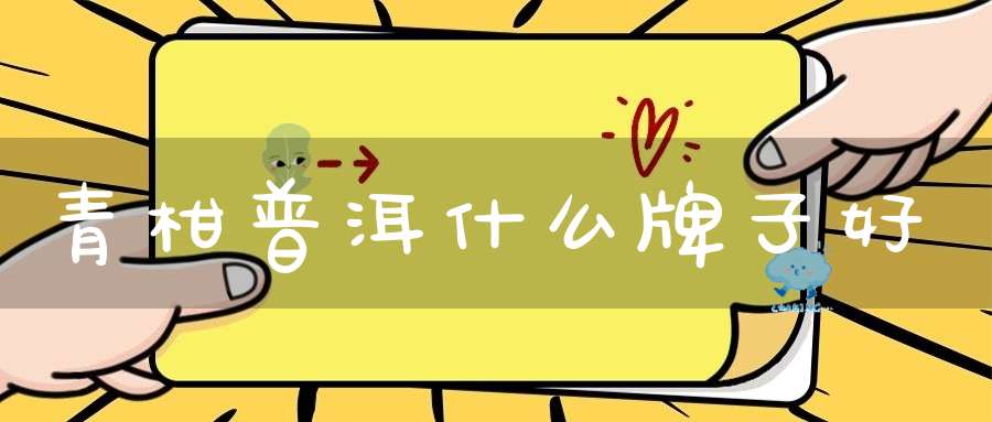 青柑普洱什么牌子好