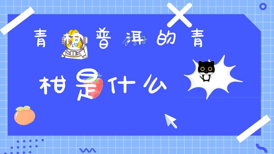 青柑普洱的青柑是什么