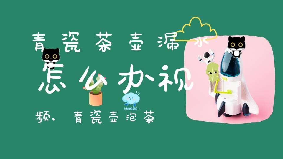 青瓷茶壶漏水怎么办视频,青瓷壶泡茶