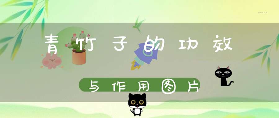 青竹子的功效与作用图片
