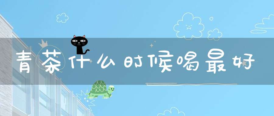 青茶什么时候喝最好