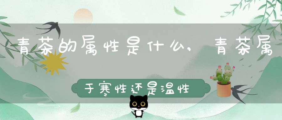青茶的属性是什么?,青茶属于寒性还是温性