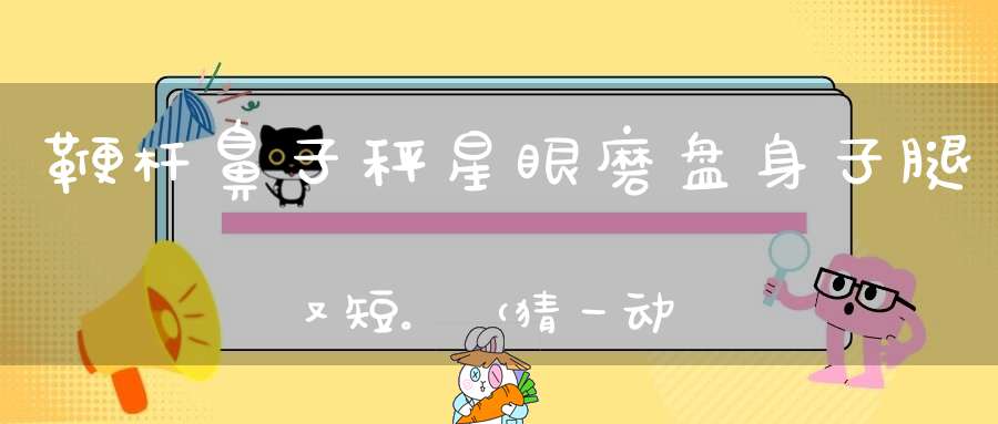 鞭杆鼻子秤星眼，磨盘身子腿又短。 （猜一动物）