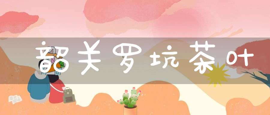 韶关罗坑茶叶