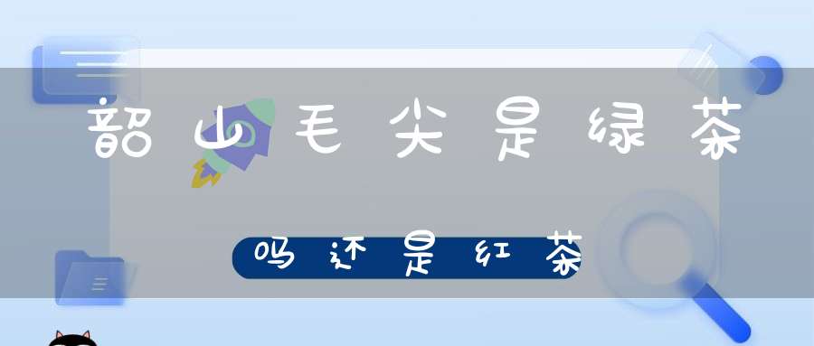 韶山毛尖是绿茶吗还是红茶