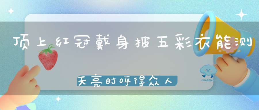 顶上红冠戴，身披五彩衣，能测天亮时，呼得众人醒。（打一动物）