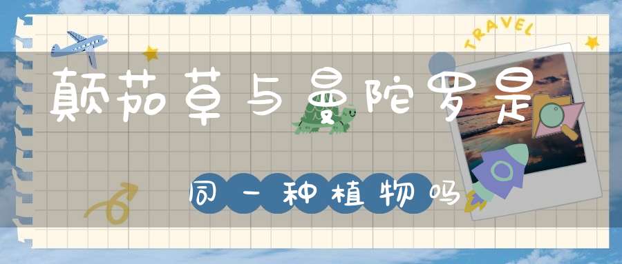 颠茄草与曼陀罗是同一种植物吗？