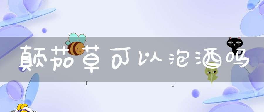 颠茄草可以泡酒吗？