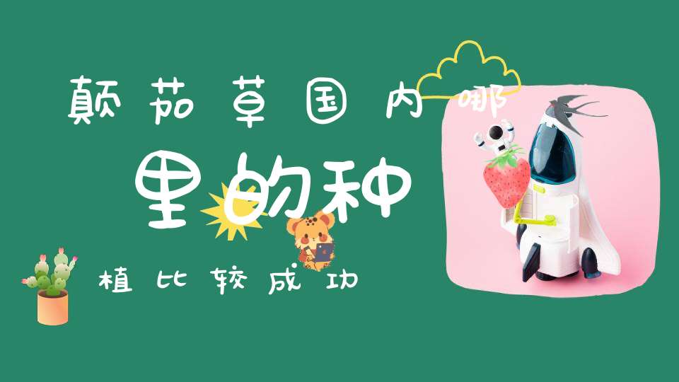 颠茄草国内哪里的种植比较成功？