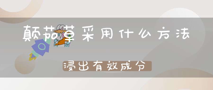 颠茄草采用什么方法浸出有效成分？