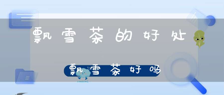 飘雪茶的好处飘雪茶好吗