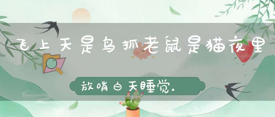 飞上天是鸟，抓老鼠是猫，夜里放哨，白天睡觉。 （猜一动物）