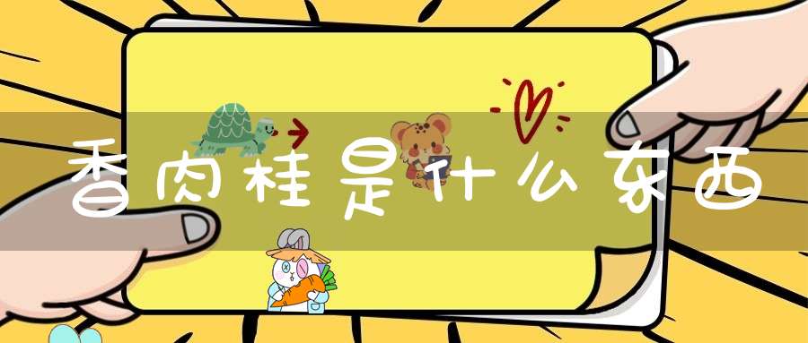 香肉桂是什么东西