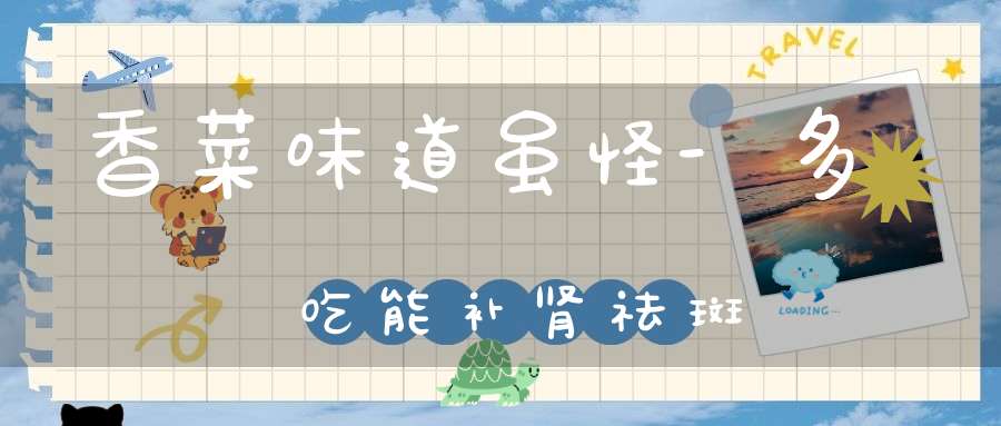 香菜味道虽怪-多吃能补肾祛斑