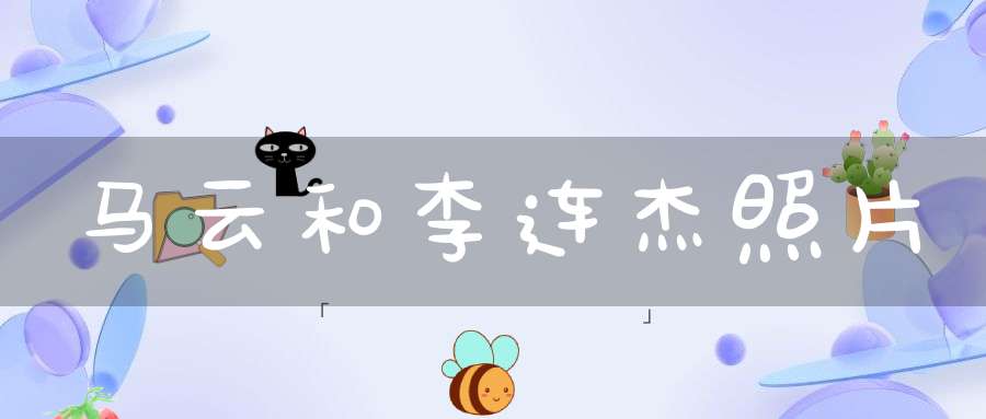 马云和李连杰照片