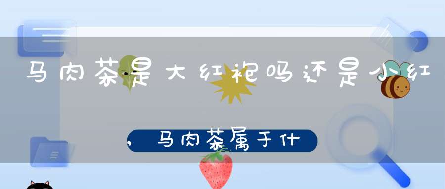 马肉茶是大红袍吗还是小红,马肉茶属于什么茶