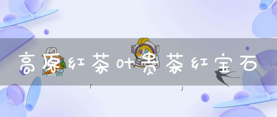 高原红茶叶贵茶红宝石