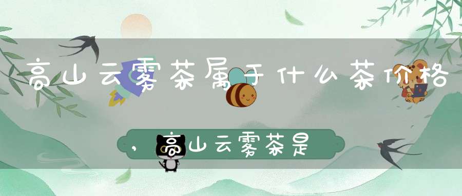高山云雾茶属于什么茶价格,高山云雾茶是什么意思